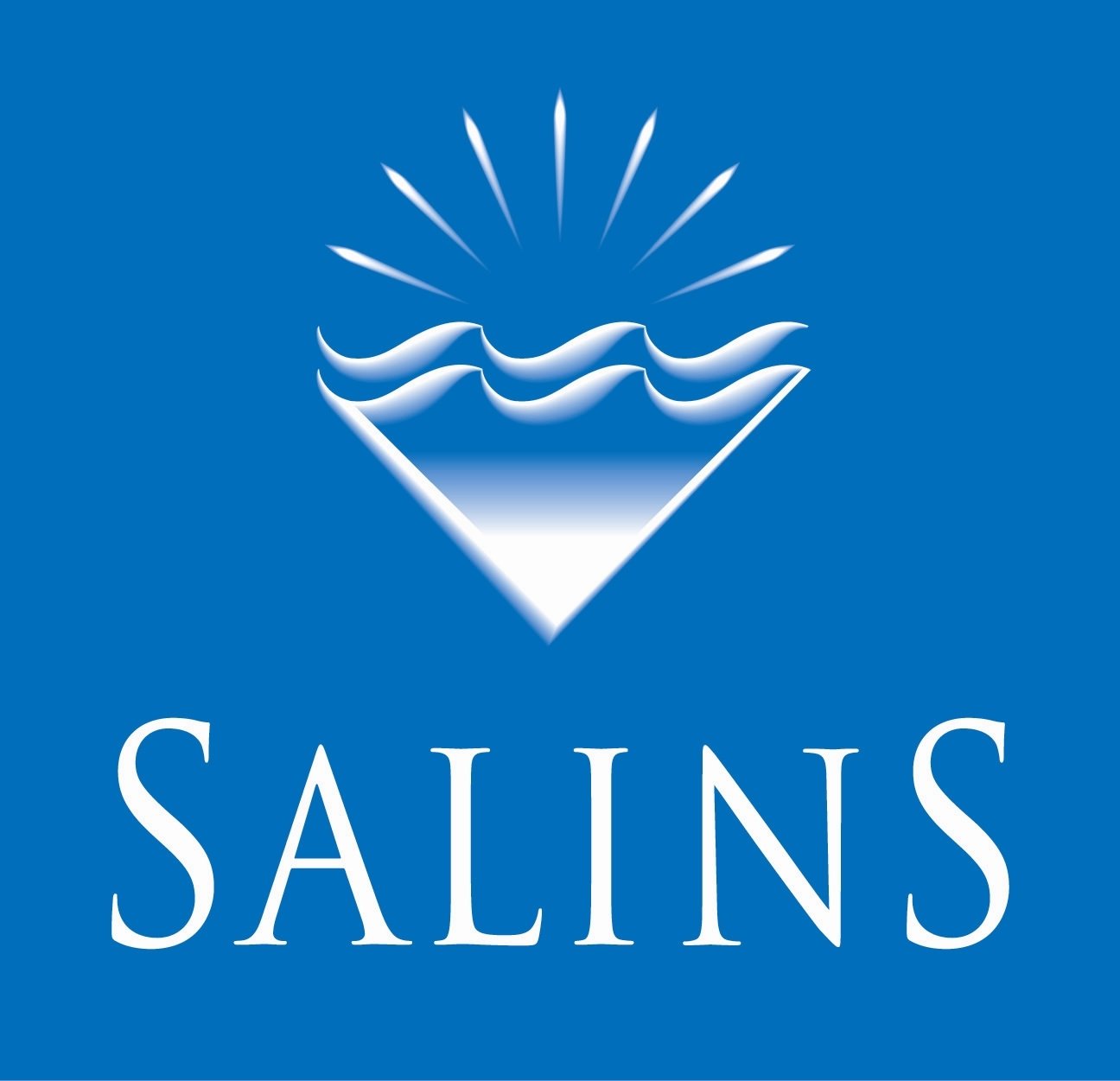Logo Salins
