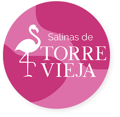 Logo Torre Vieja